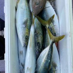 海龍丸(石川) 釣果