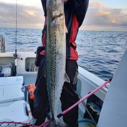 アマテラス 釣果