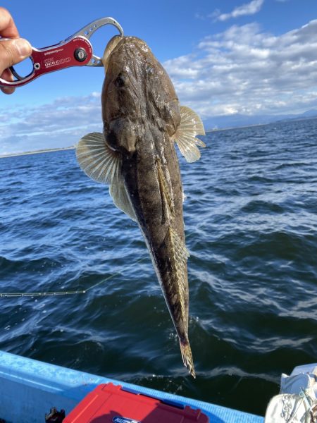 アマテラス 釣果