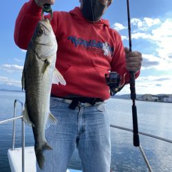 アマテラス 釣果