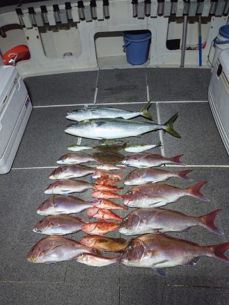 ARCADIAⅡ (アルカディアⅡ) 釣果