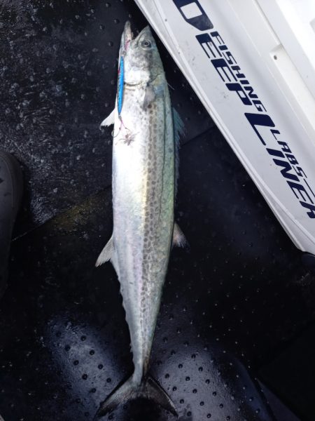 第二龍勢丸 釣果