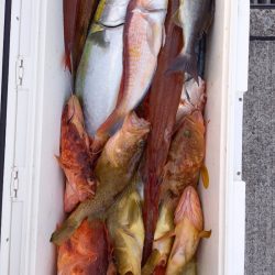 第二龍勢丸 釣果