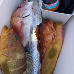 第二龍勢丸 釣果