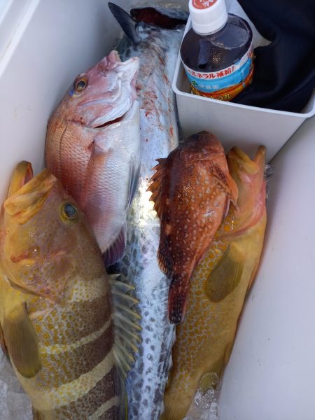 第二龍勢丸 釣果