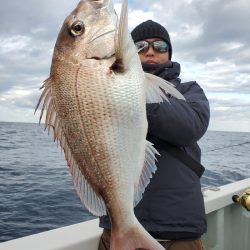 シーライオン 釣果