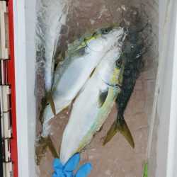 海龍丸(石川) 釣果