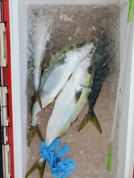 海龍丸(石川) 釣果