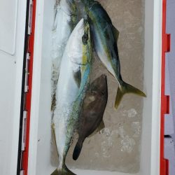 海龍丸(石川) 釣果