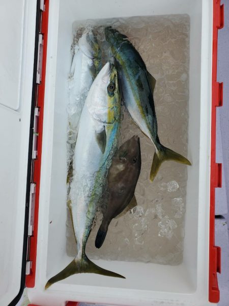 海龍丸(石川) 釣果