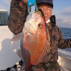 ARCADIAⅡ (アルカディアⅡ) 釣果