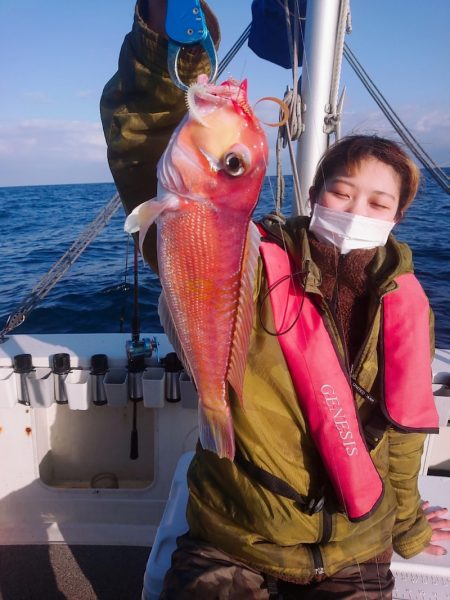 ARCADIAⅡ (アルカディアⅡ) 釣果