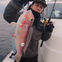 ARCADIAⅡ (アルカディアⅡ) 釣果