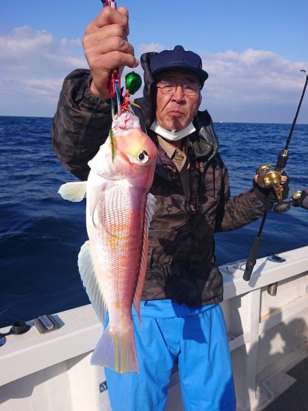 ARCADIAⅡ (アルカディアⅡ) 釣果