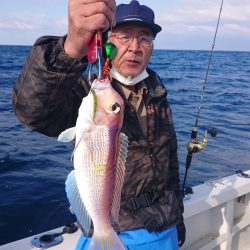 ARCADIAⅡ (アルカディアⅡ) 釣果