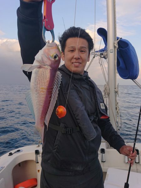 ARCADIAⅡ (アルカディアⅡ) 釣果