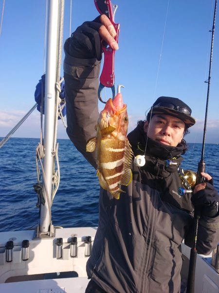 ARCADIAⅡ (アルカディアⅡ) 釣果