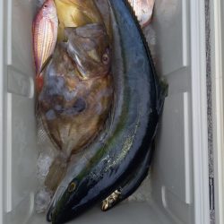 第二龍勢丸 釣果