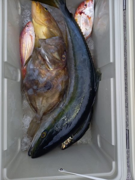 第二龍勢丸 釣果