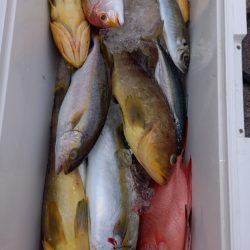 第二龍勢丸 釣果