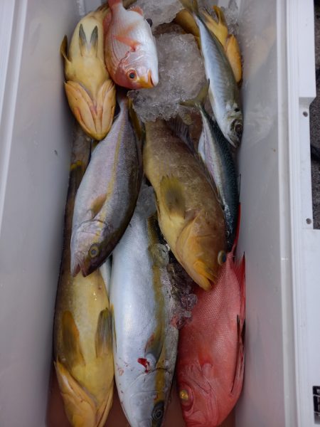 第二龍勢丸 釣果