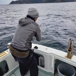 アマテラス 釣果