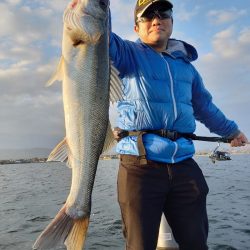 アマテラス 釣果