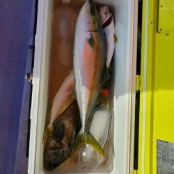 海龍丸(石川) 釣果