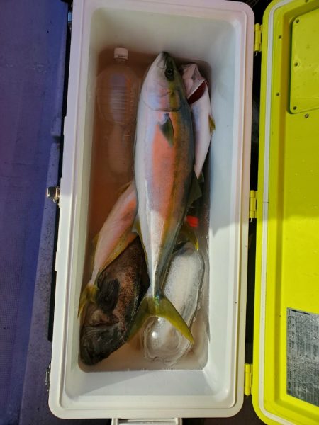 海龍丸(石川) 釣果