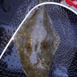 第二龍勢丸 釣果