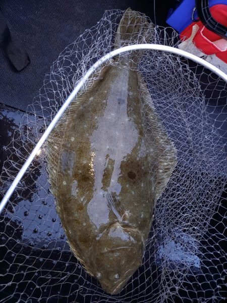 第二龍勢丸 釣果