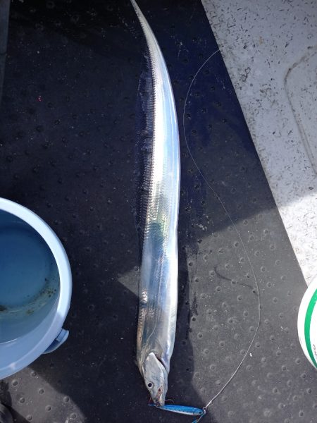 第二龍勢丸 釣果