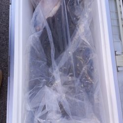 第二龍勢丸 釣果