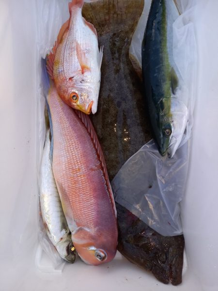 第二龍勢丸 釣果