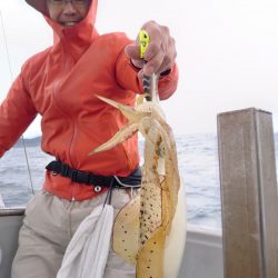 ブルースフィッシングサービス 釣果