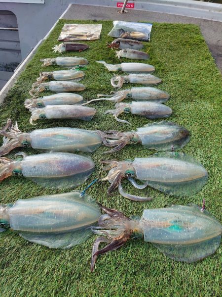 ブルースフィッシングサービス 釣果