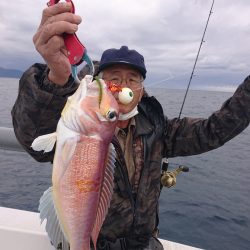 ARCADIAⅡ (アルカディアⅡ) 釣果