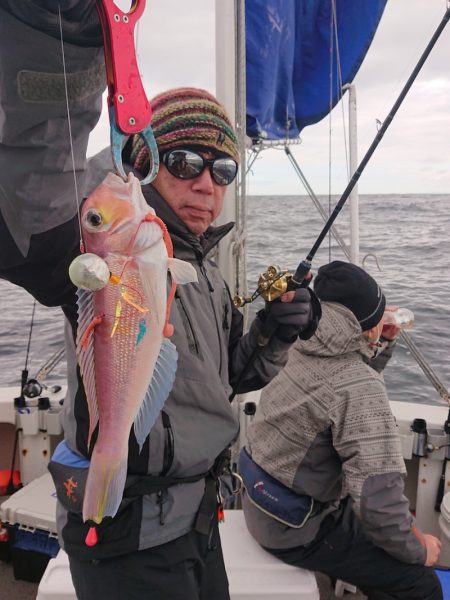 ARCADIAⅡ (アルカディアⅡ) 釣果