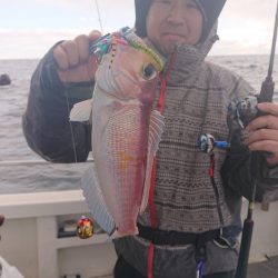 ARCADIAⅡ (アルカディアⅡ) 釣果