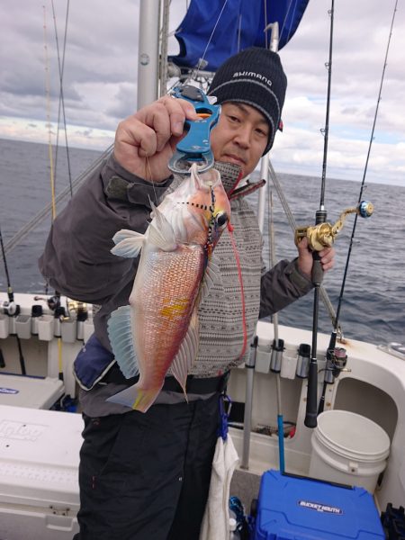 ARCADIAⅡ (アルカディアⅡ) 釣果