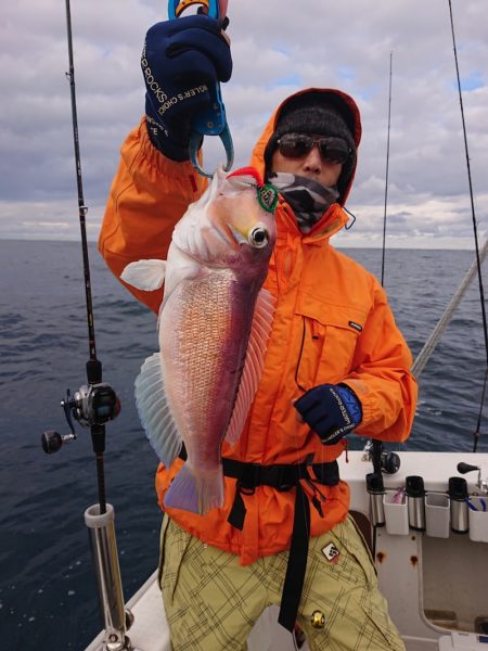 ARCADIAⅡ (アルカディアⅡ) 釣果