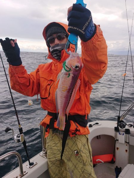 ARCADIAⅡ (アルカディアⅡ) 釣果