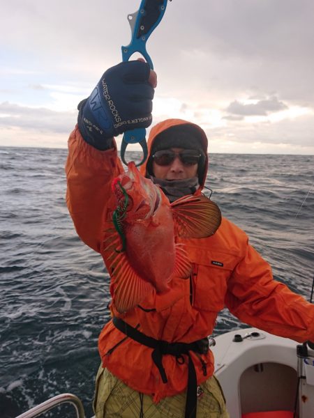 ARCADIAⅡ (アルカディアⅡ) 釣果