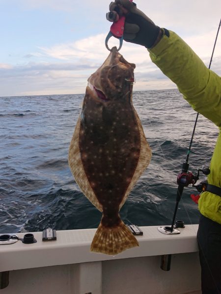 ARCADIAⅡ (アルカディアⅡ) 釣果