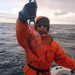 ARCADIAⅡ (アルカディアⅡ) 釣果