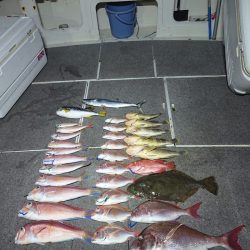 ARCADIAⅡ (アルカディアⅡ) 釣果