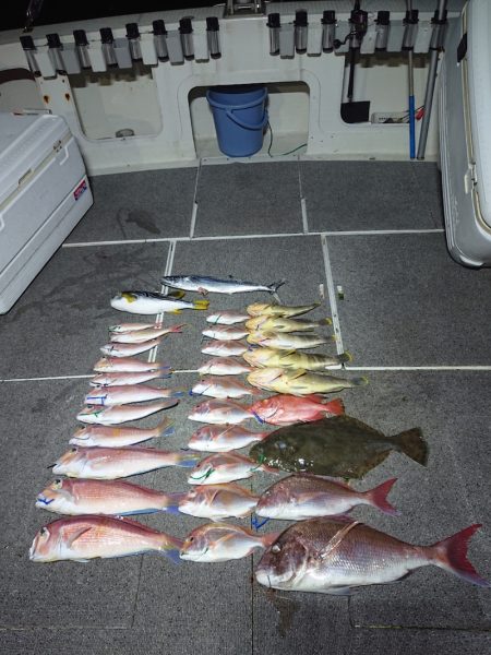 ARCADIAⅡ (アルカディアⅡ) 釣果