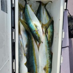 海龍丸（石川） 釣果