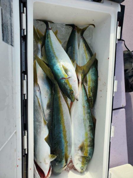 海龍丸（石川） 釣果