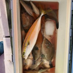 海龍丸（石川） 釣果